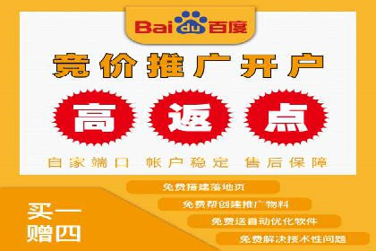 SEM竞价广告优化全攻略：经典案例解析